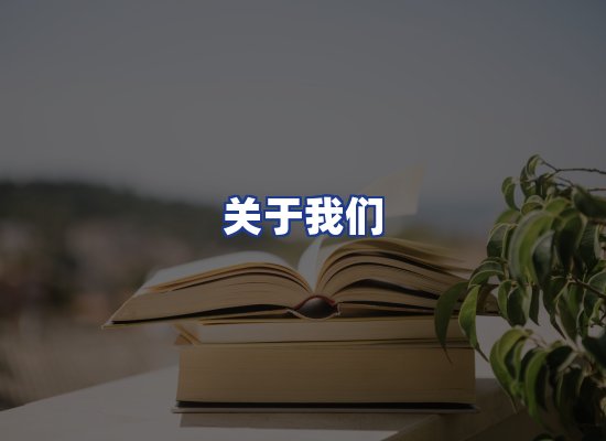专业团队